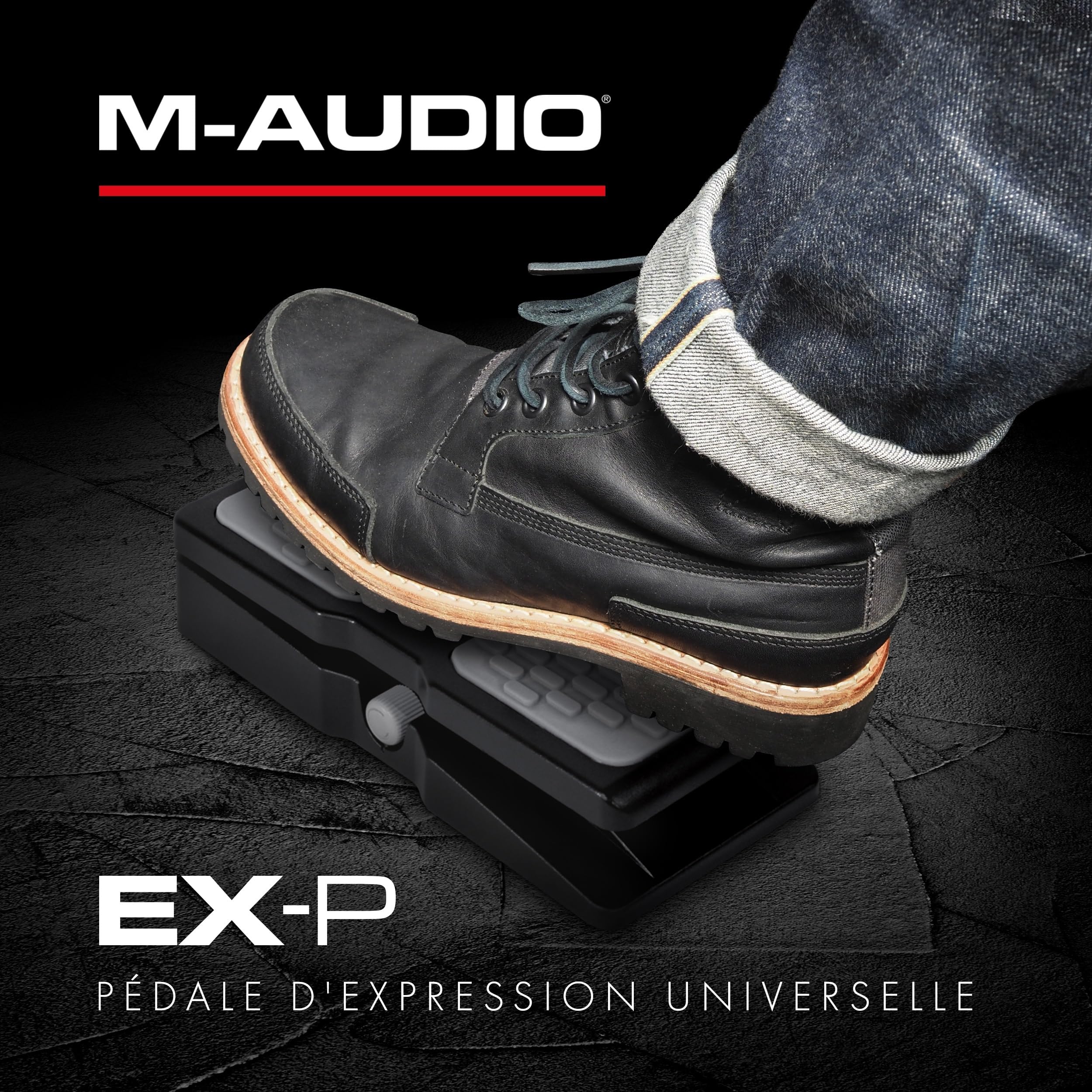 m-audio-ex-p-p-dale-d-expression-pour-claviers-midi image 7